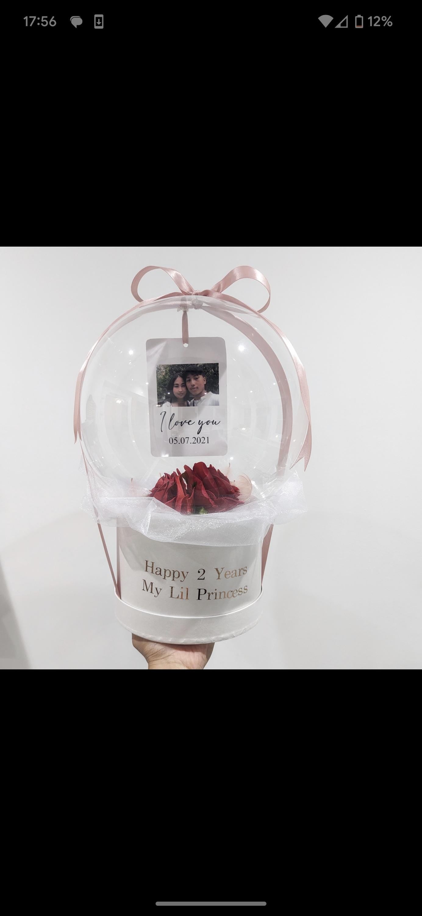 Polaroid Balloon
